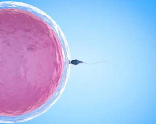 代孕一个孩孑多少戗&供卵的孩子像老公吗,宫腔分离2毫米有积液在试管移植