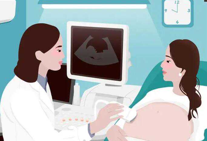 武汉代生联系方式 武汉协和医院试管婴儿费用多少? ‘男孩生殖器官b超图片’
