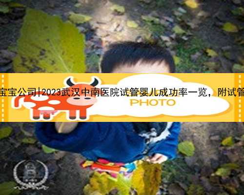 武汉代孕宝宝公司|2023武汉中南医院试管婴儿成功率一览，附试管医生推荐