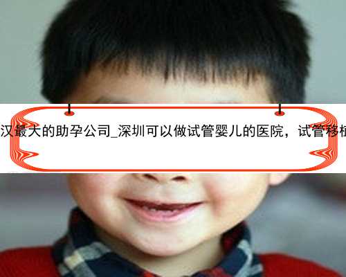 武汉供卵公司名单|武汉最大的助孕公司_深圳可以做试管婴儿的医院，试管移植